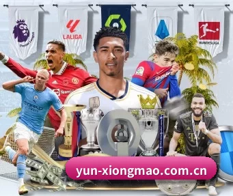 yun-xiongmao.com.cn APP